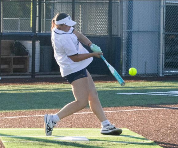 FHCActivities tweet media