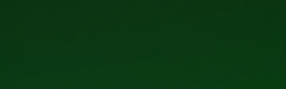 Aesthetics 𝕏 tweet media