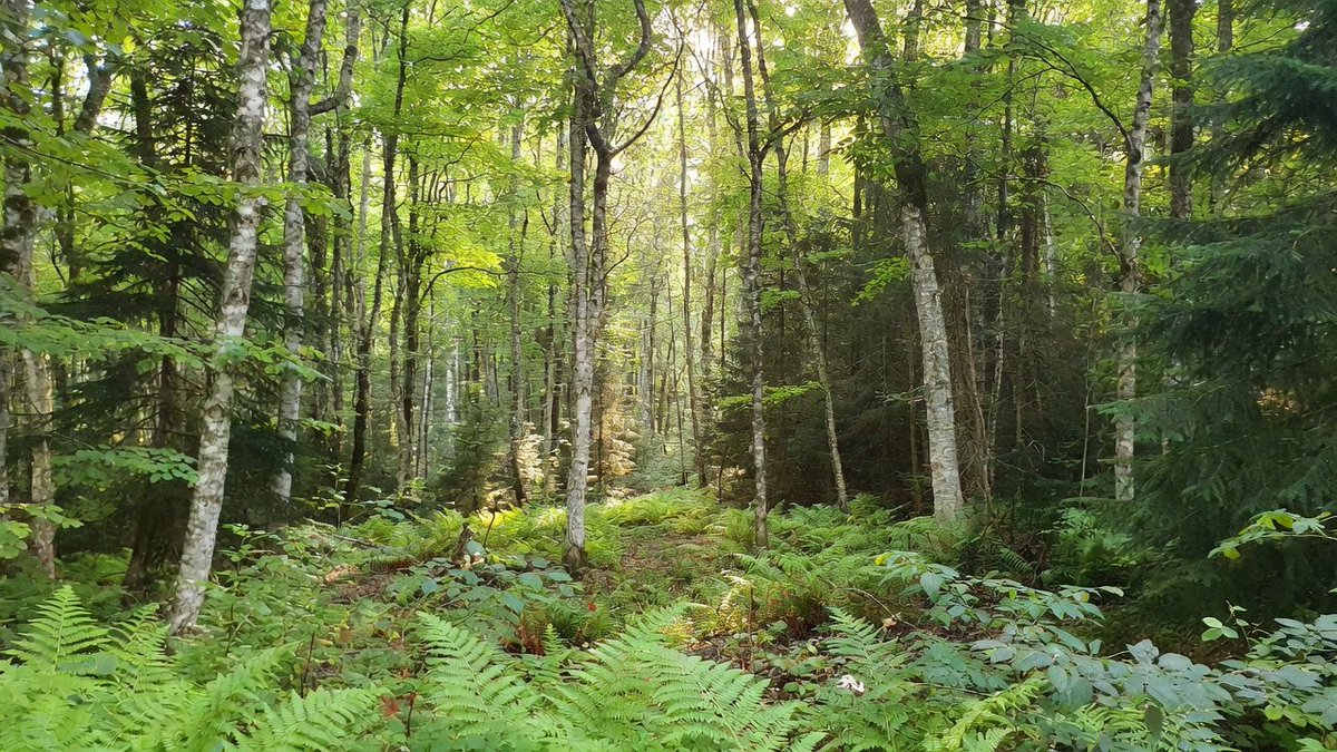 Dura lex, sed lex tweet media