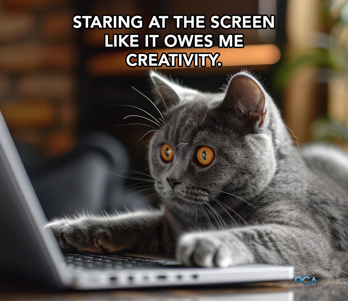 POV: You’re waiting for the perfect idea to magically appear.
(Any minute now…)

#creativitybuffering