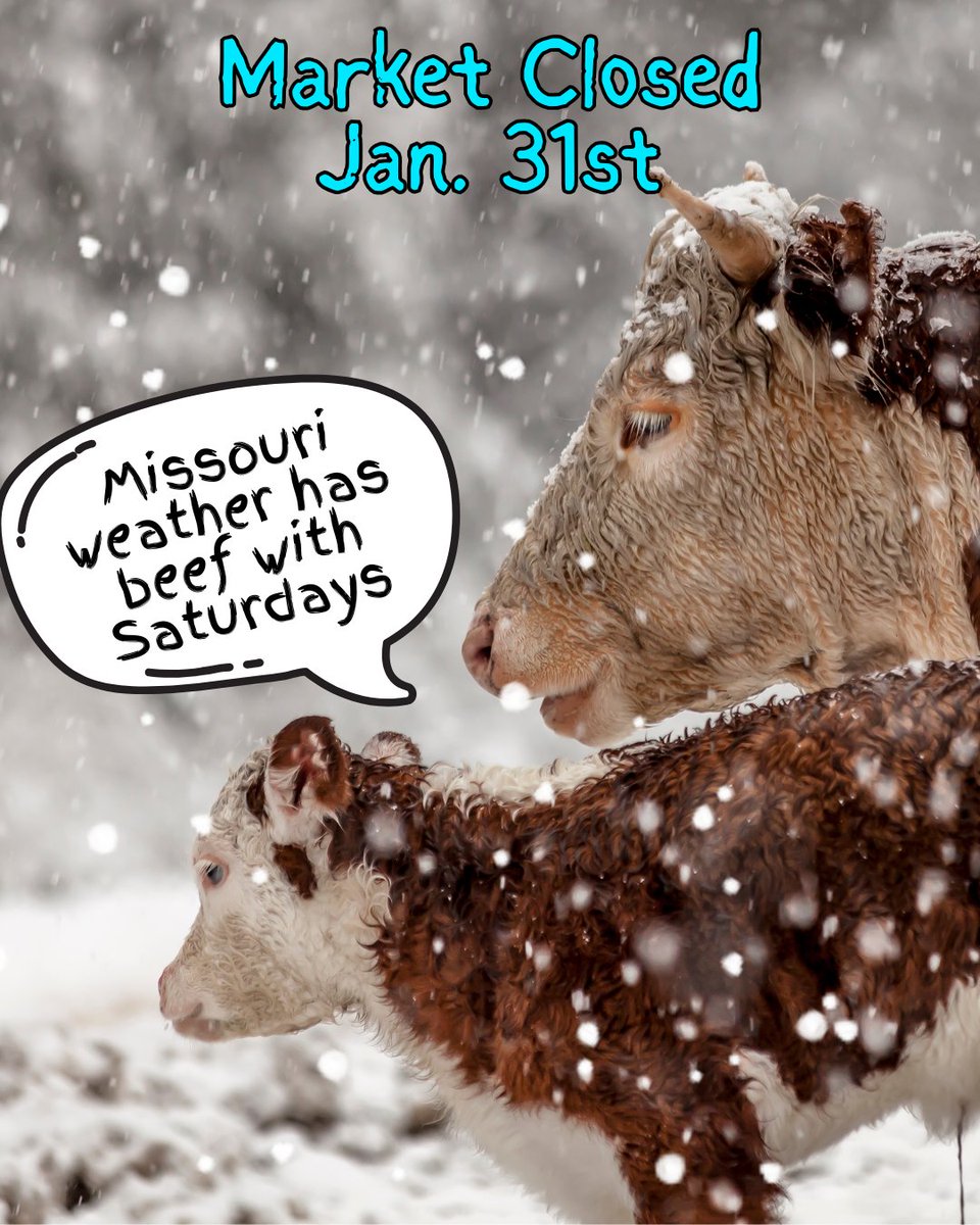 No Market this weekend. It seems that Missouri weather has some beef with Saturdays. 😢 We miss you all and we WILL see you next Saturday, February 7th, with our usual 9am-1pm Market hours!

#marketclosed #wintermarket #closed #farmersmarket #fmozarks