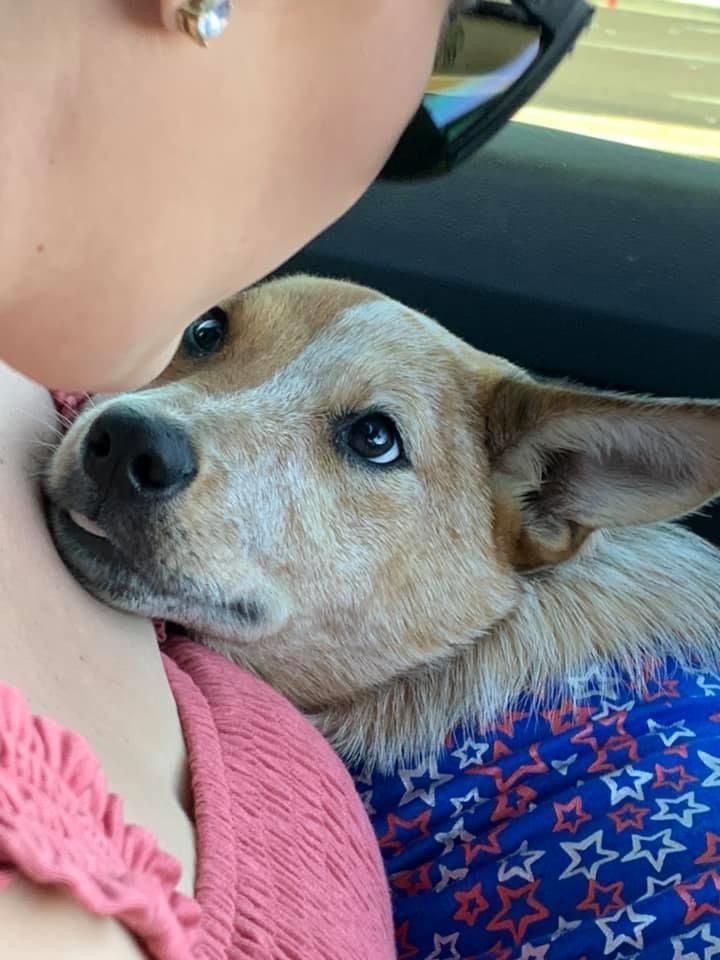 iti malias (@itimaliasof) on Twitter photo 