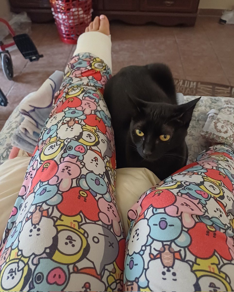 asteringirl's tweet image. Cuidando a la lisiada 😂🤍🖤