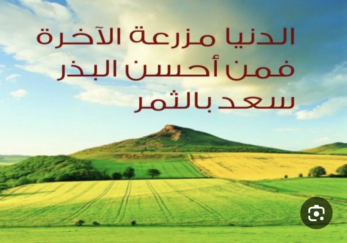 "كُل الذين استوعبوا حقيقة الحياة جيداً
 اختاروا الهدوء وقلة الظهور."