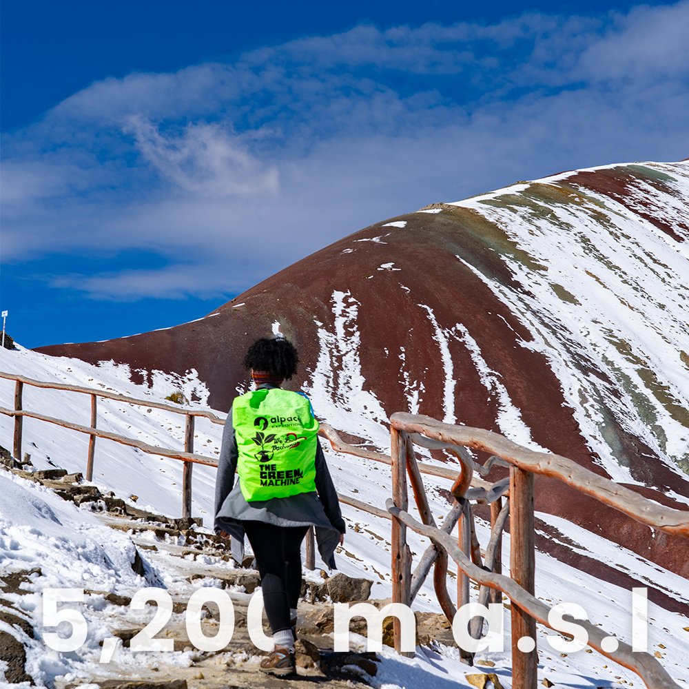 Alpaca Expeditions tweet media