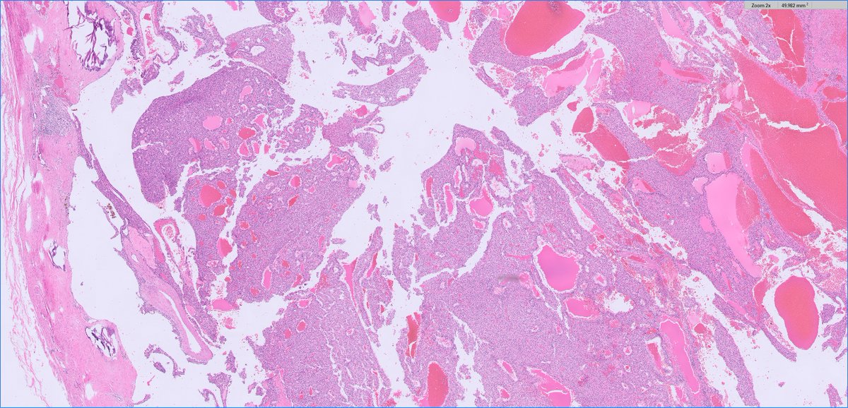 Ankur Sangoi tweet media