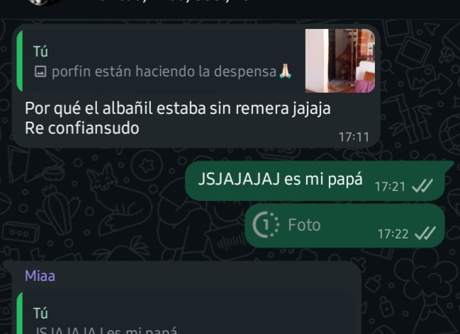 amiga terrible desubicado el albañil q labura en tu casa