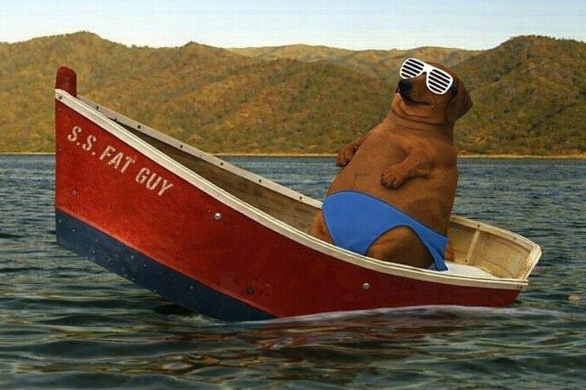 <a href="/DipWheeler/">Dip Wheeler</a> And $SUBO will save us again.

2GNaDZvN186Cue7H8dS1vHXqvivqQtvffG6eAUbSpump