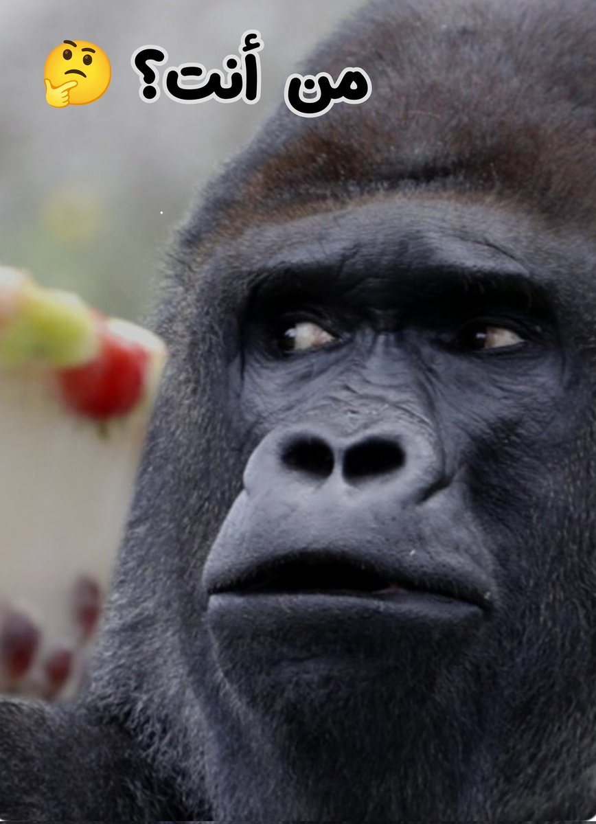 هادي العامري مرة ثانية من تحچي أحچي عن نفسك محد مصخم وجهك وموكلك تحچي بأسم أي أحد 🧐🧐🧐