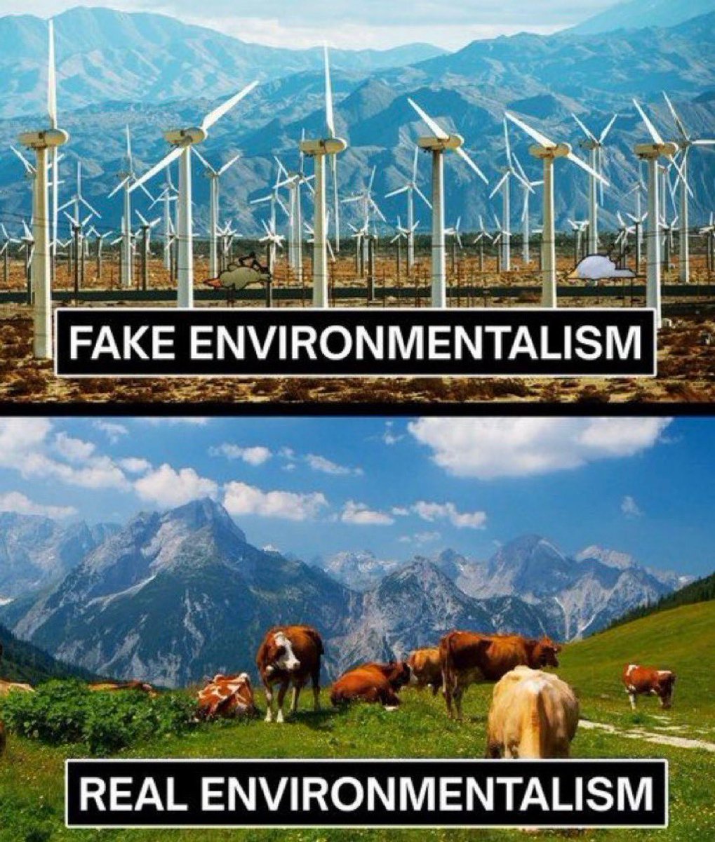 emma6USA's tweet photo. Climate change is a scam and so many countries have been pushing it.  It’s time to end this.  🔥🔥🔥 https://t.co/8Zulyoyrxc