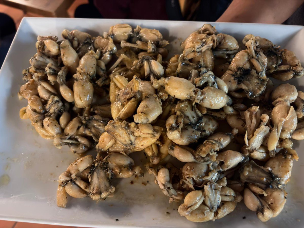 berthaparkski's tweet photo. Well today’s menu was our chance to experience local foods! Tartiflette, Apple tart, frogs legs 🐸 and snails 🐌  🇫🇷 
Well done to those who braved the new flavours #CI @BerthaParkHigh https://t.co/xaLCAymwch