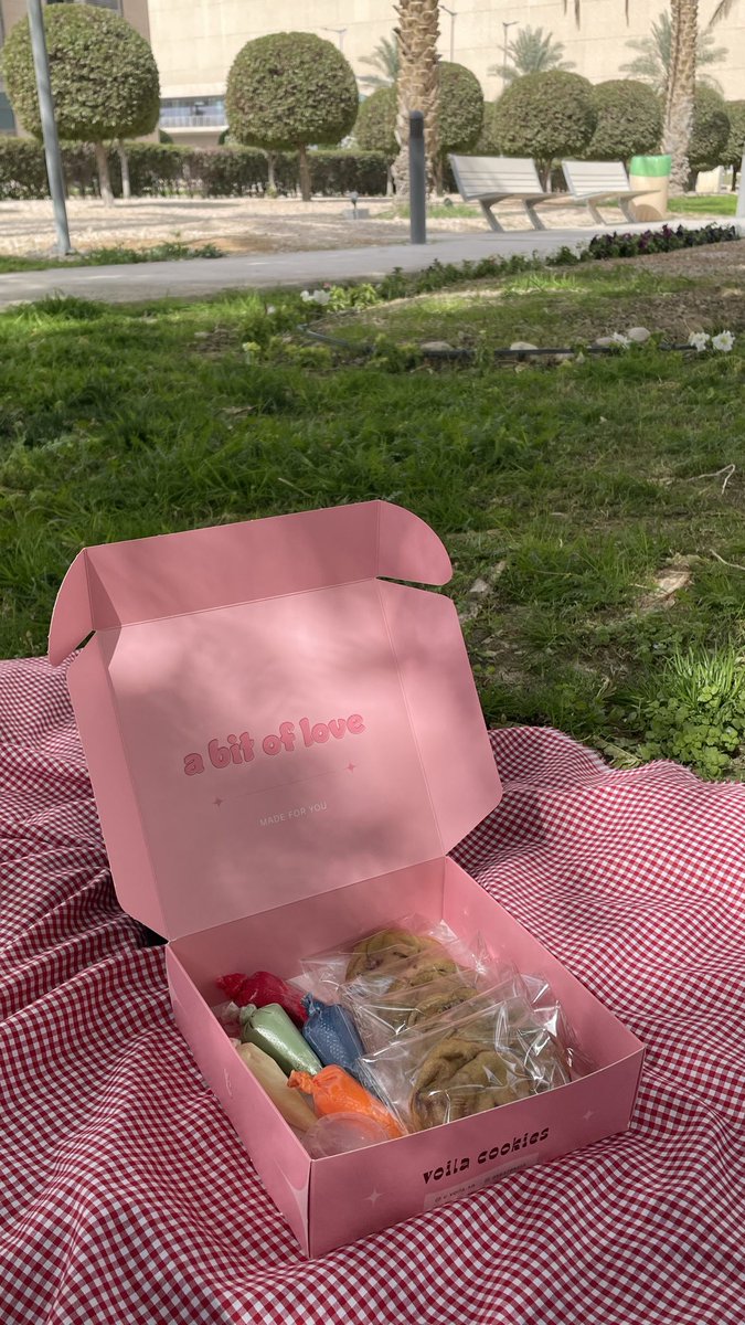 Fatimah ⭐️ tweet media