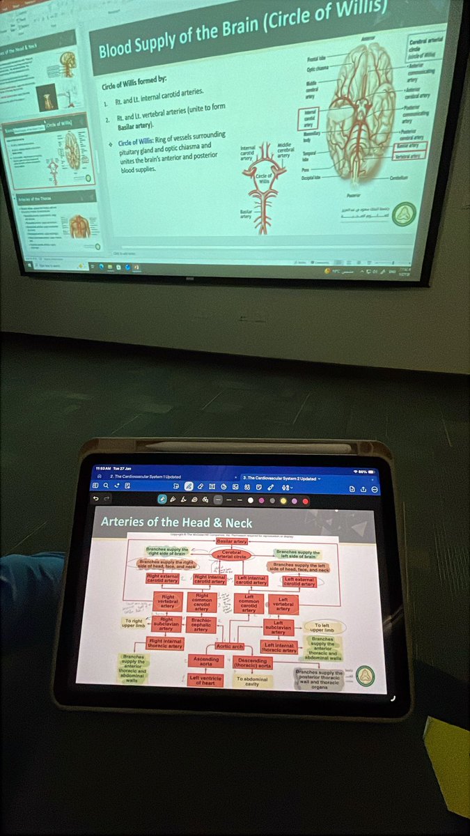 Fatimah ⭐️ tweet media