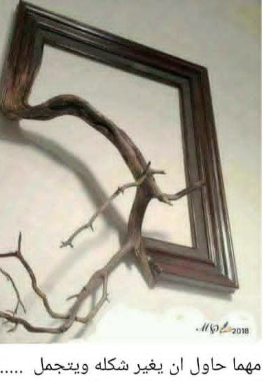 dnaskar76's tweet image. مفكرين ان التعامل مع شعب الجنوب كمثل التعامل مع الوافد المقيم .