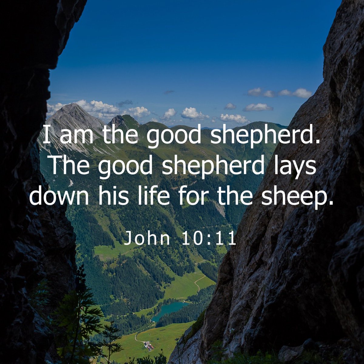 🍭🍭Candace🍭🍭 tweet media