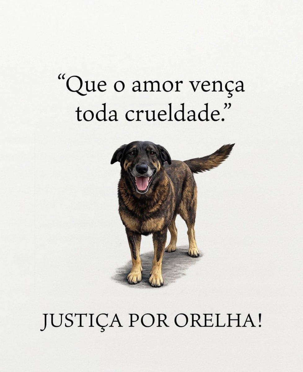 Jamais esquecer para não acontecer de novo.  A psicopatia não tem cura e os sinais começam cedo e vão escalando: começa com animais, termina em pessoas. Sou a favor de diminuir a maioridade penal para 14 anos nesses casos. Não tem como ressocializar. #OrelhaNãoSeráEsquecido