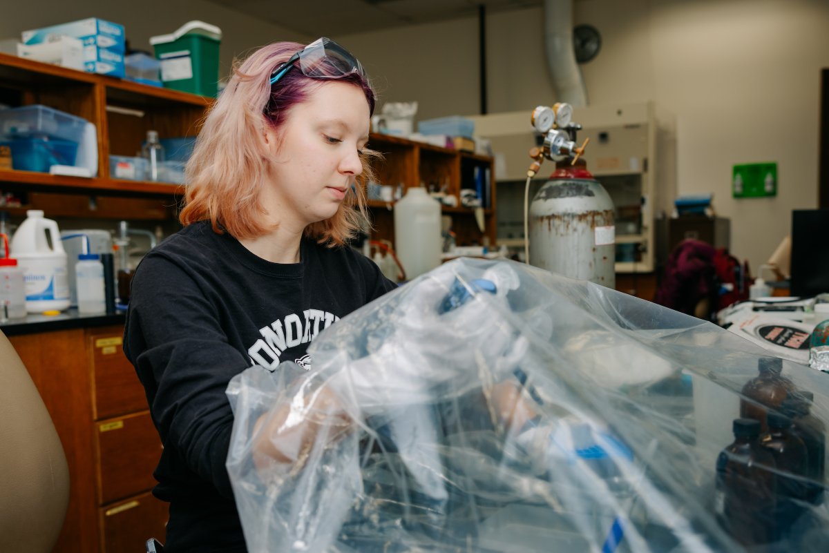 Ohio Northern Univ. tweet media