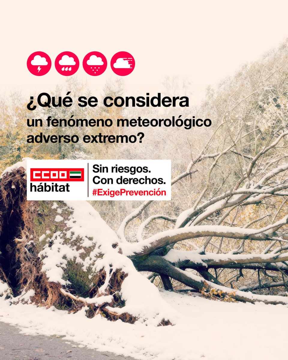 Te damos algunos ejemplos:

🔹Viento: 💨🌪tornados o 🌊trombas marinas.

🔹Precipitaciones: 🌧 granizadas, 🌨nevadas o ⛈DANAS.

🔹Singulares: Aludes u 🌀oleajes intensos.

¿Quieres saber más? Te informamos📢📑⚠️

📩Acude a <a href="/CCOO_Habitat/">CCOO del Hábitat</a>  ✊#ExigePrevención