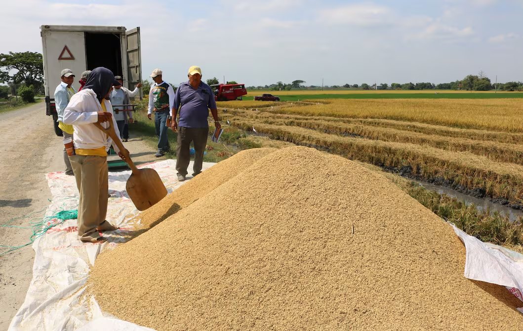 #Colombia endurece las medidas comerciales dirigidas al arroz que importa desde Ecuador y el 30% de arancel que se anunció para la gramínea ecuatoriana. No podrá ir a Colmbia por vía terreste ni pagando arancel del 30%