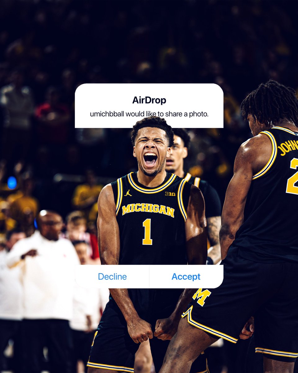 Adding these to the camera roll ASAP