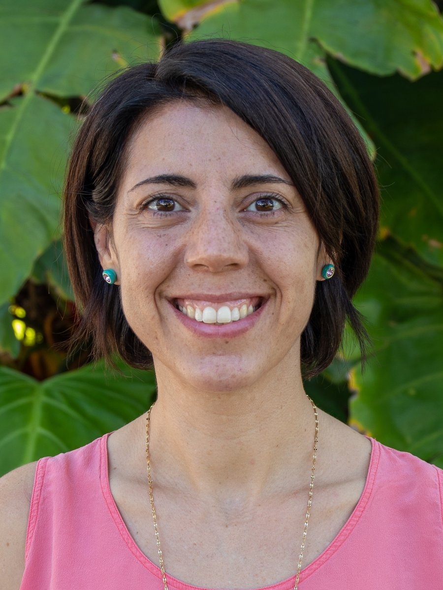 UM Continuing & International Education tweet media