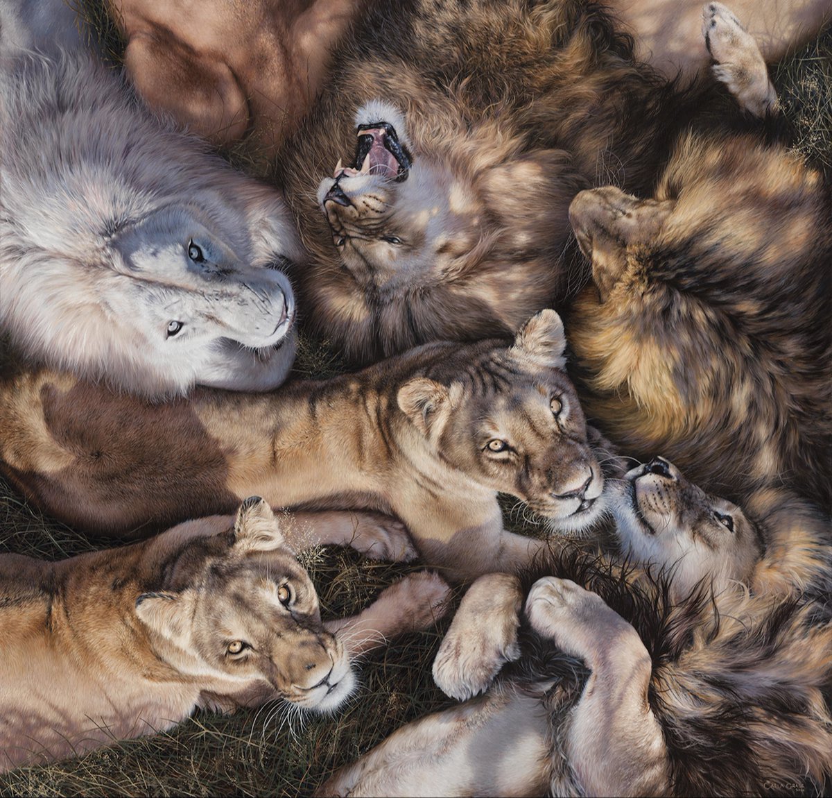 People's Choice Award  Congratulations to Carla Grace, for winning People’s Choice Award!

‘Pride’ is an oil painting created on linen in collaboration with the Kevin Richardson Foundation. artrenewal.org/18th-arc-salon…  

#18thARCSalon <a href="/carla_grace_art/">Carla Grace</a>