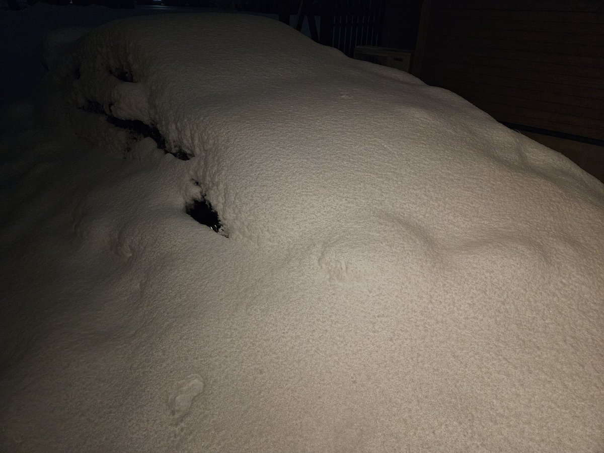 ひょりー tweet media