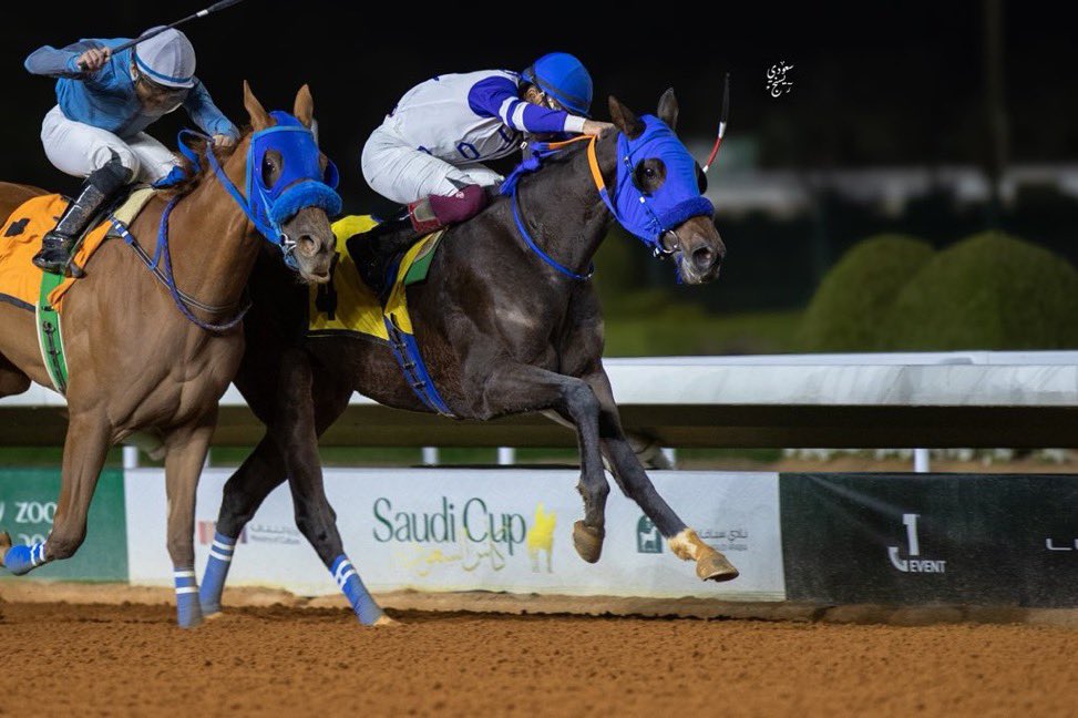 SDyany's tweet photo. نتيجة الشوط الـ 7 الحفل ( 66 ) 
[ دعم نادي سباقات الخيل للحصن والامهارة المباعة في مزاد 2024 ]

الفائز: الجامح 
المالك : فهد فيصل حمد ال سدران 
المدرب : ناصر العتيبي 
الخيال : عبدالله الصاعدي
المسافة :  1600 متر
الزمن: 01:43:61

#مباري_الخيل
#موسم_سباقات_الرياض https://t.co/agrbsqR3cE