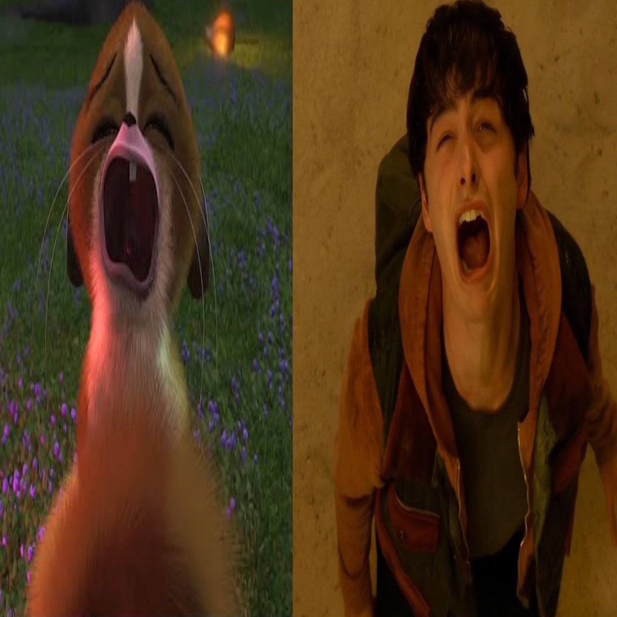 fawn (@bambiheese) on Twitter photo 