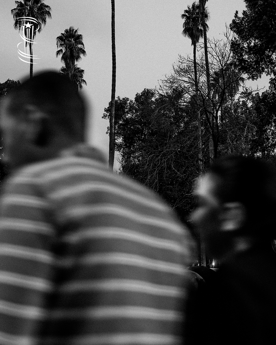 Marrakech Film Festival tweet media