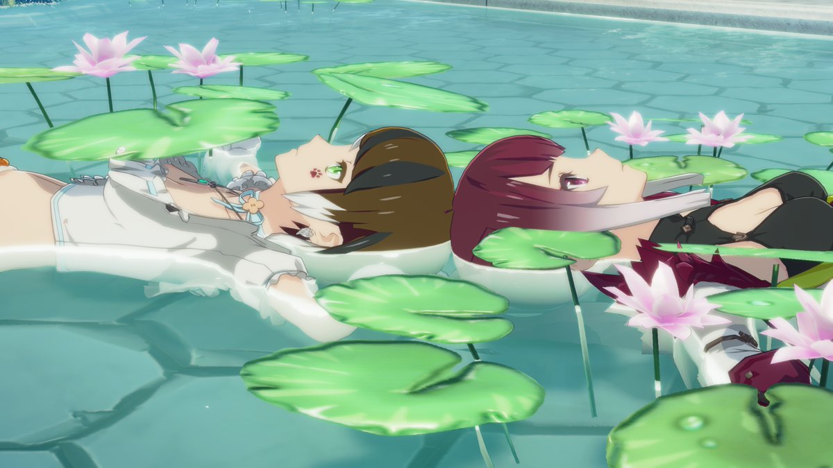 雉白にゃんこさん (@KijishiroNyanko) / Posts / X