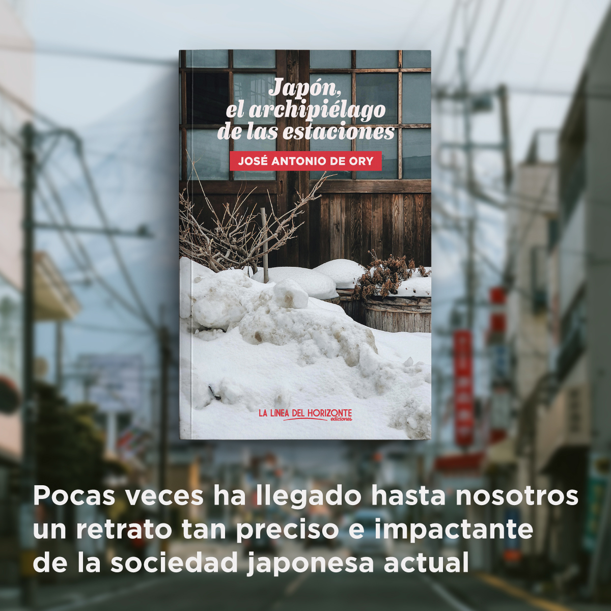 LaLíneaDelHorizonte tweet media