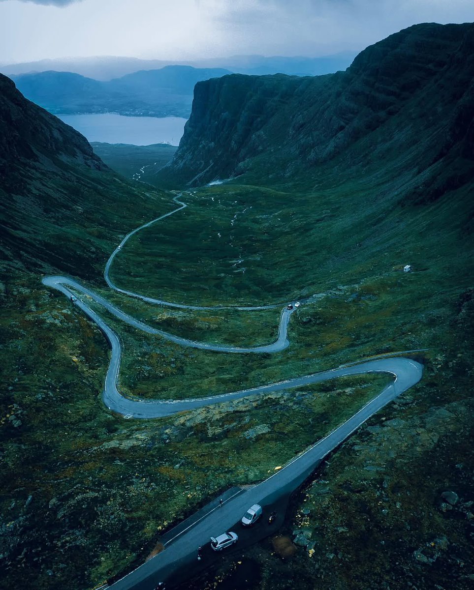 earthcurated tweet picture
