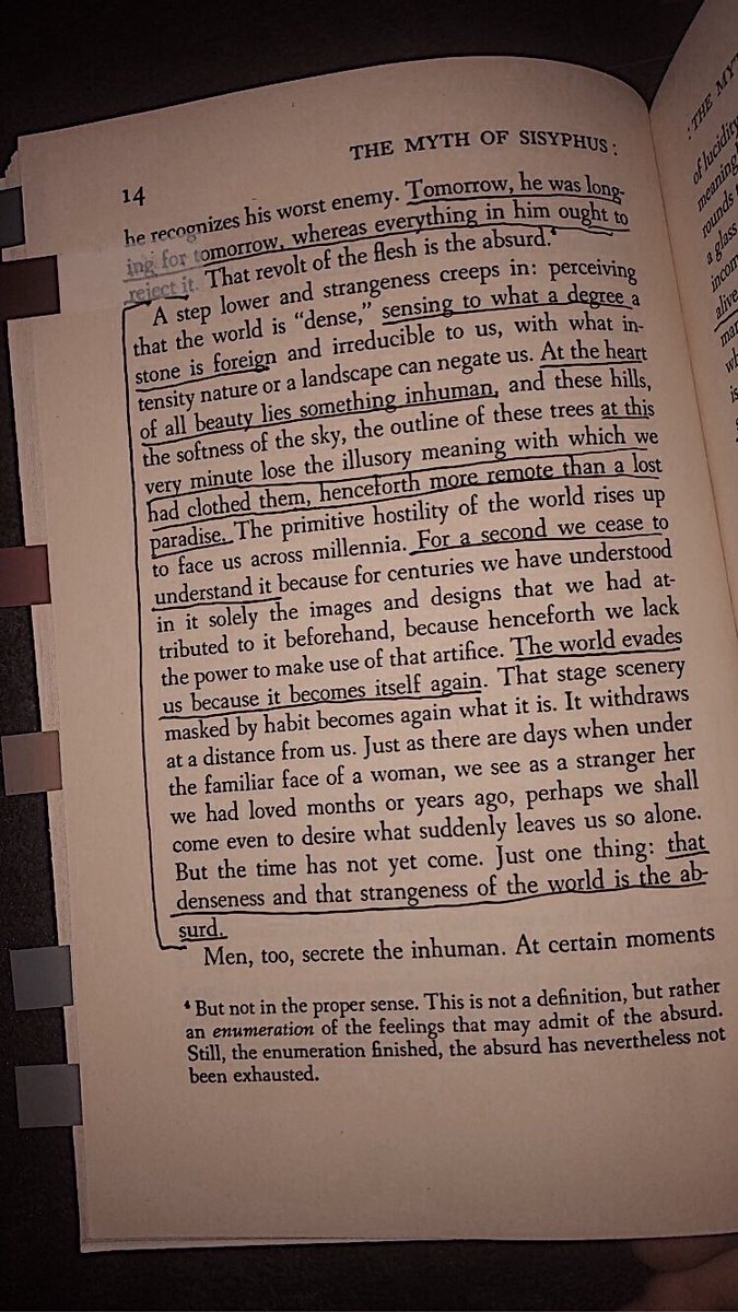 mia mekhi ♖ tweet media