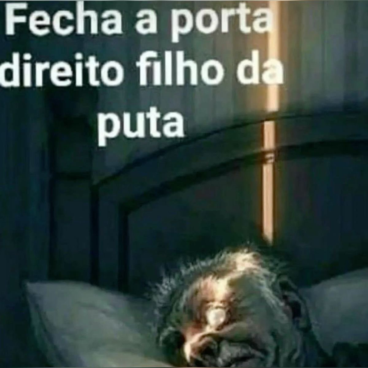 shitpostverdade's tweet photo. https://t.co/JnR4XbS8QB