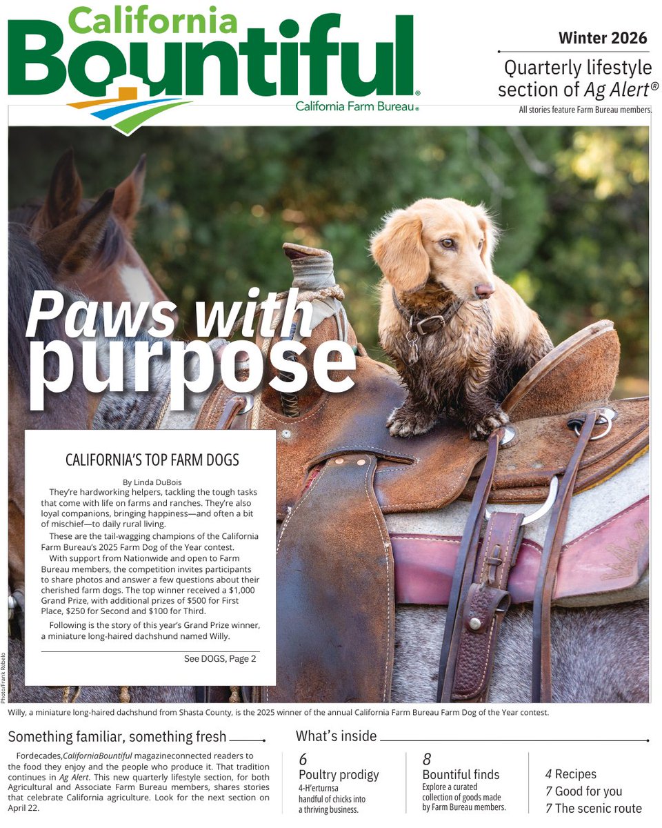 California Bountiful tweet media