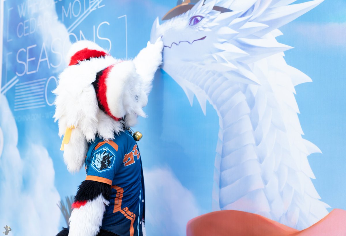 淅漓🔜Wff冬兽聚 tweet media