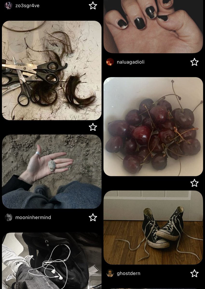 AliceTheshell's tweet image. 