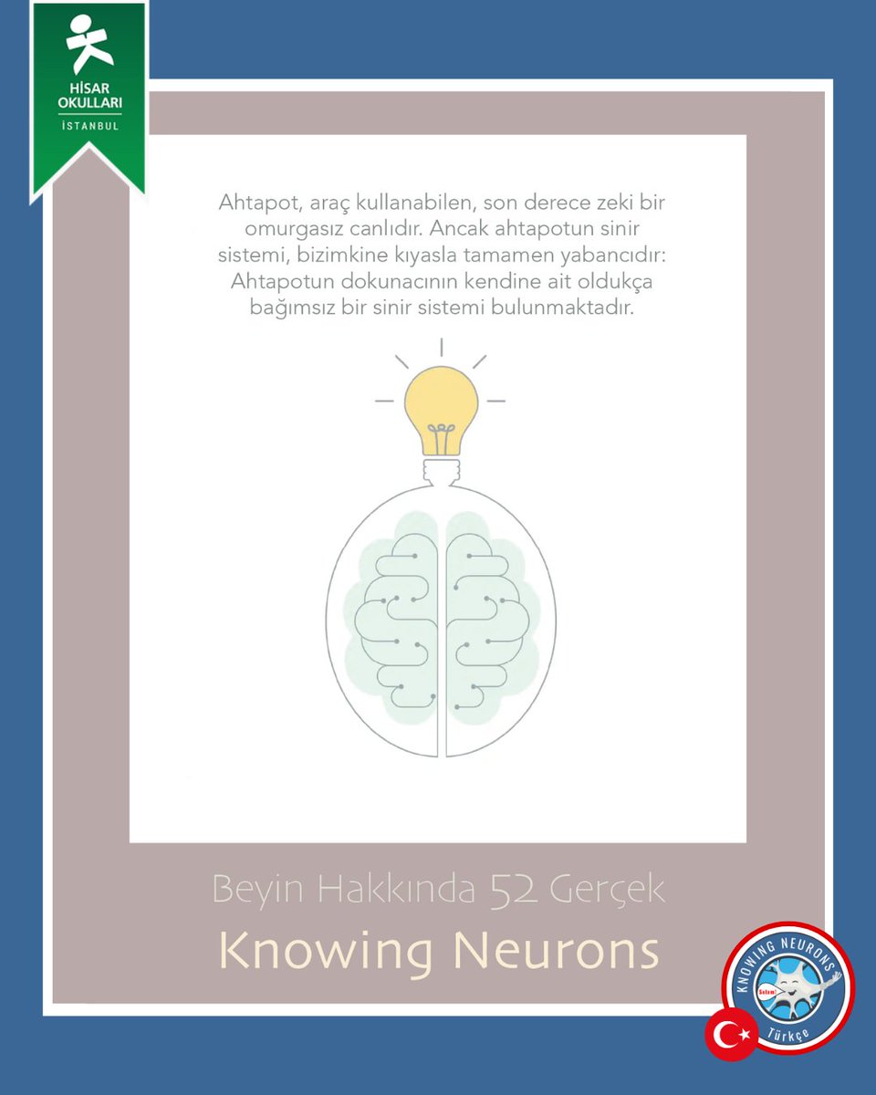 Knowing Neurons tweet media
