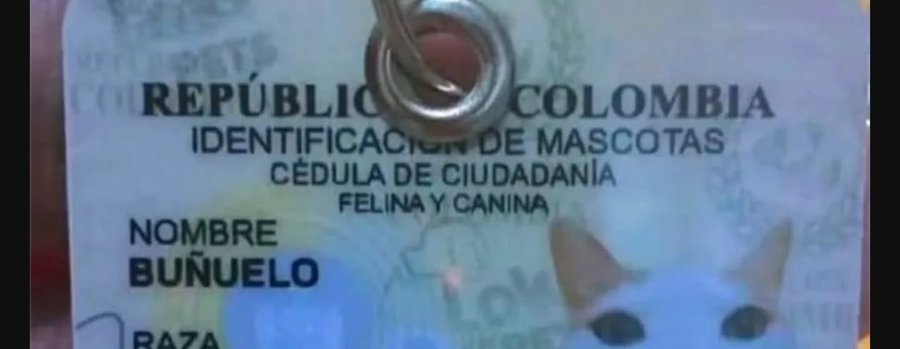 مـــــــهـMahaـا tweet media