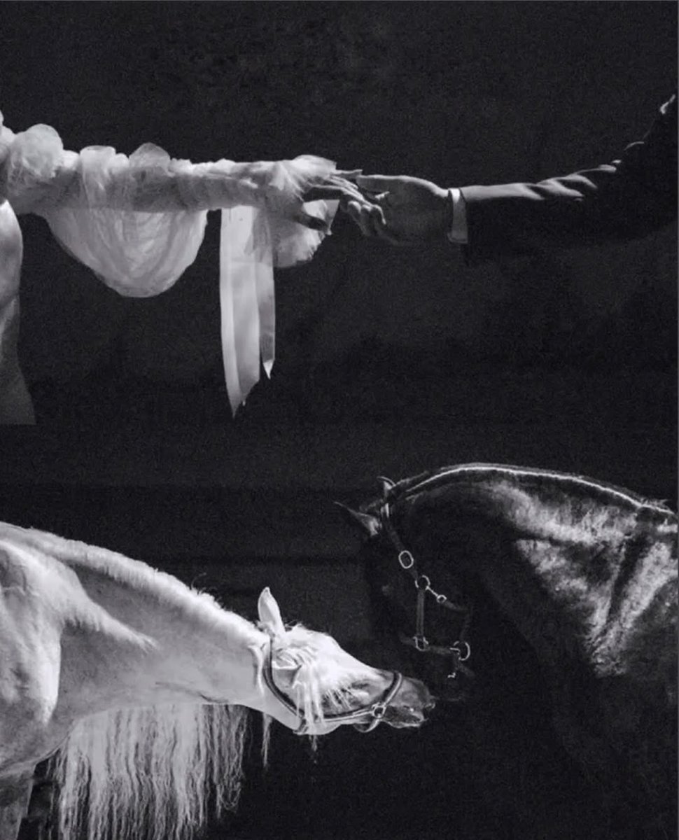 بحر 🌊 (@butterflless) on Twitter photo 