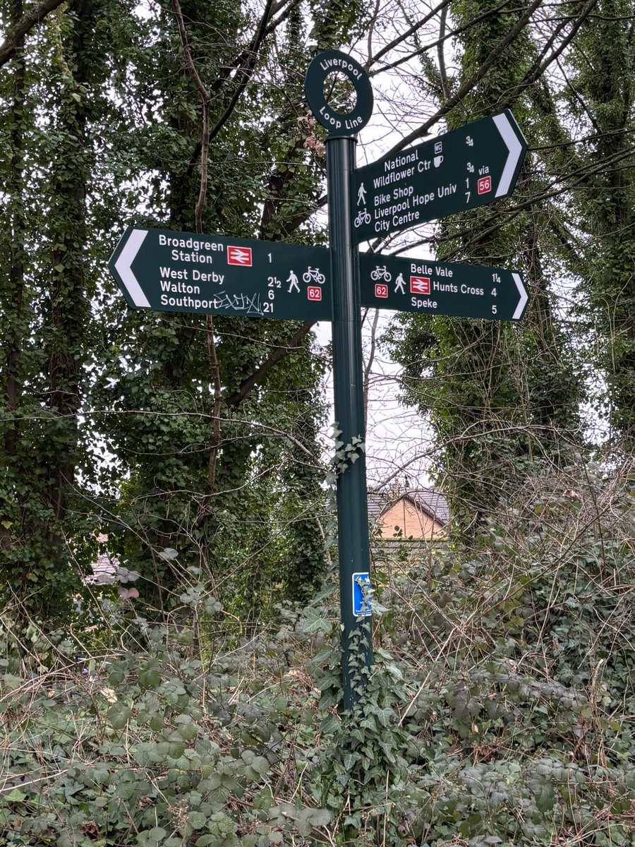 Anthony Thompson tweet media