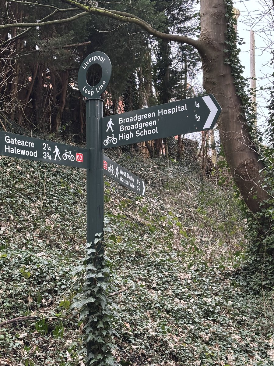 Anthony Thompson tweet media