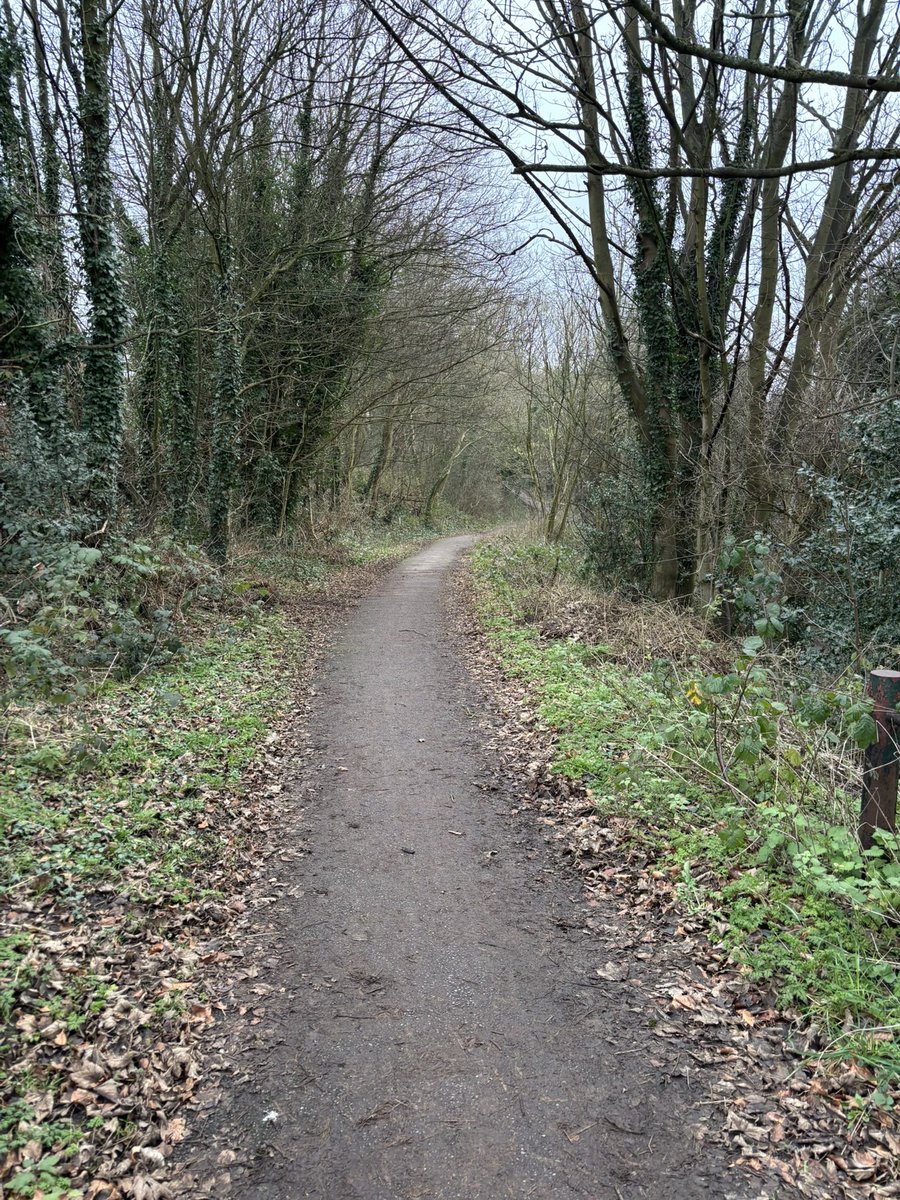 Anthony Thompson tweet media