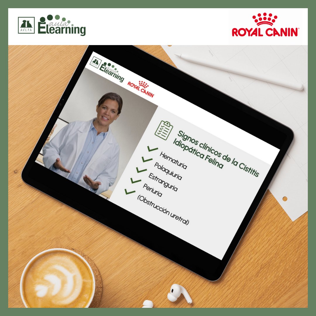 😺 Hoy hablamos sobre el tratamiento y manejo de la cistitis idiopática felina no obstructiva en nuestra sección "Café con ciencia" ☕️🧪

No te pierdas esta unidad patrocinada por <a href="/RoyalCanin_Es/">Royal Canin España</a> para socios de AVEPA y suscriptores de la plataforma.

formacion.avepaelearning.com/course/info.ph…