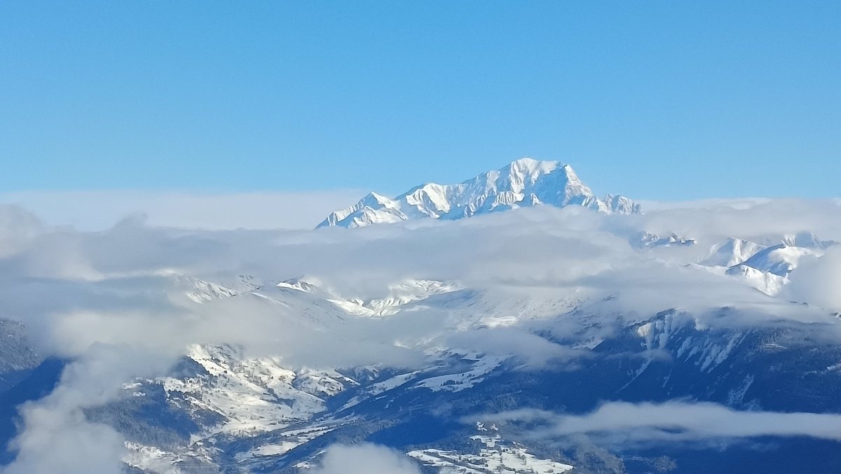 Jorge Reyes tweet media