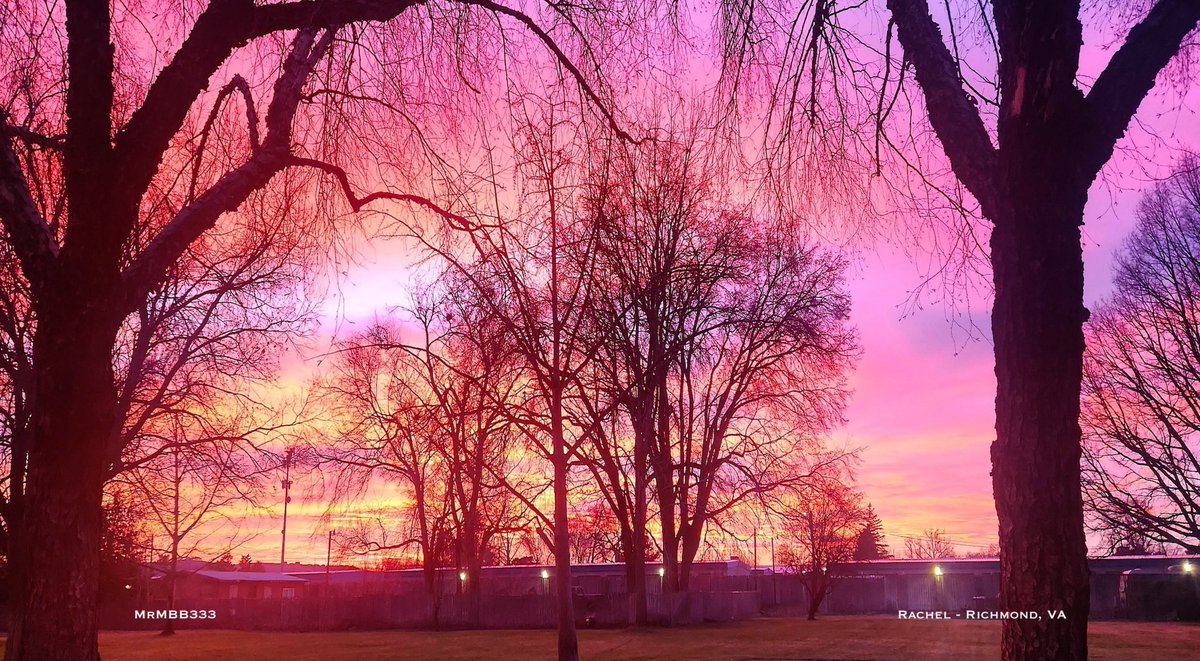 MrMBB333's tweet photo. The sky turned ELECTRIC at sunset
Pink and violet light spread across the sky as the sun dropped, turning the trees into silhouettes.
Did it look like this where you are?
#MrMBB333 #Sky #SunsetColors #AtmosphericShift #EveningSky https://t.co/rGHabWGUYP