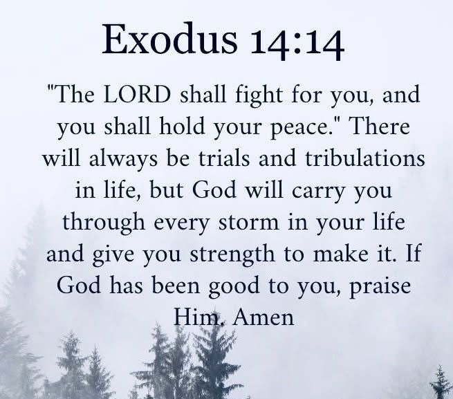 Holy Bible (@holy__bible1) on Twitter photo 