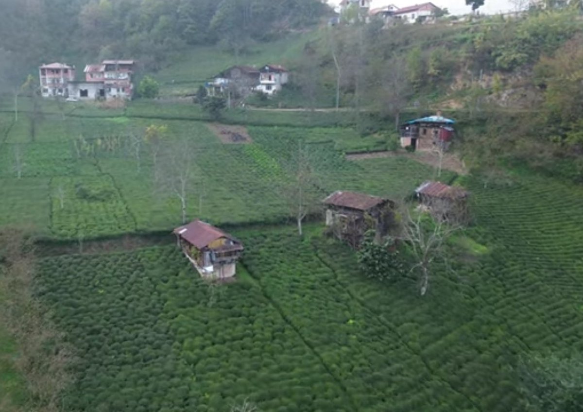 Trabzon/Of/Taşhan köyü/ Kukuluyoz