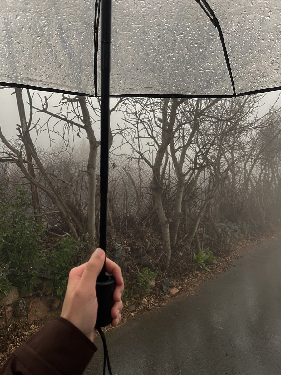 meshari.m tweet media